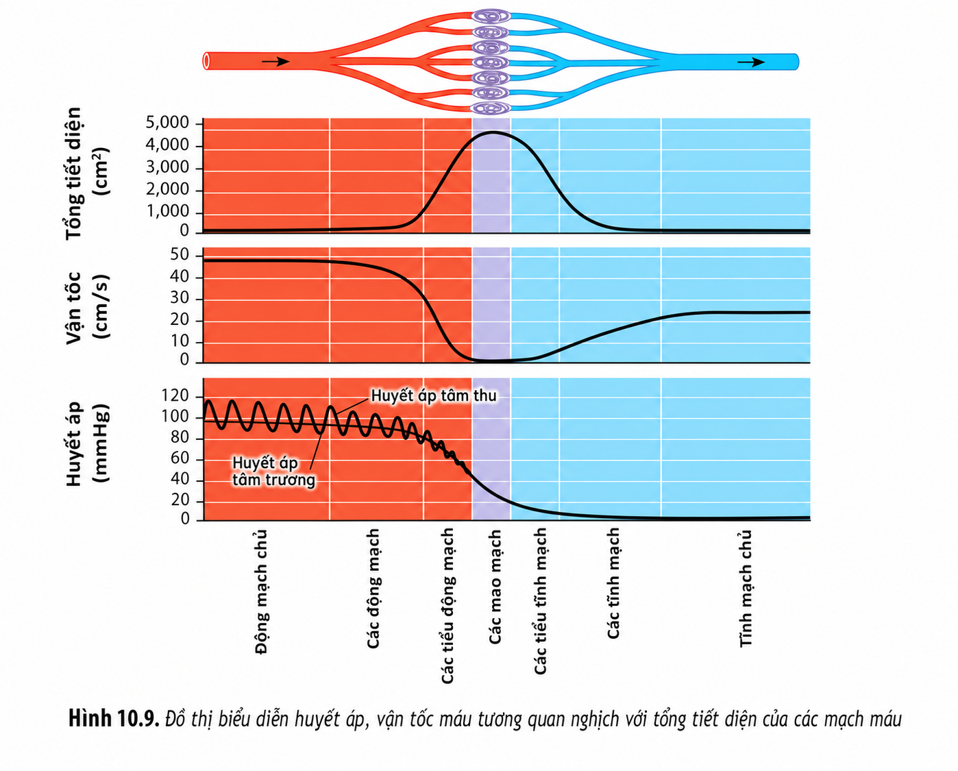 ChatGPT Image 10_39_14 24 thg 7, 2026.png