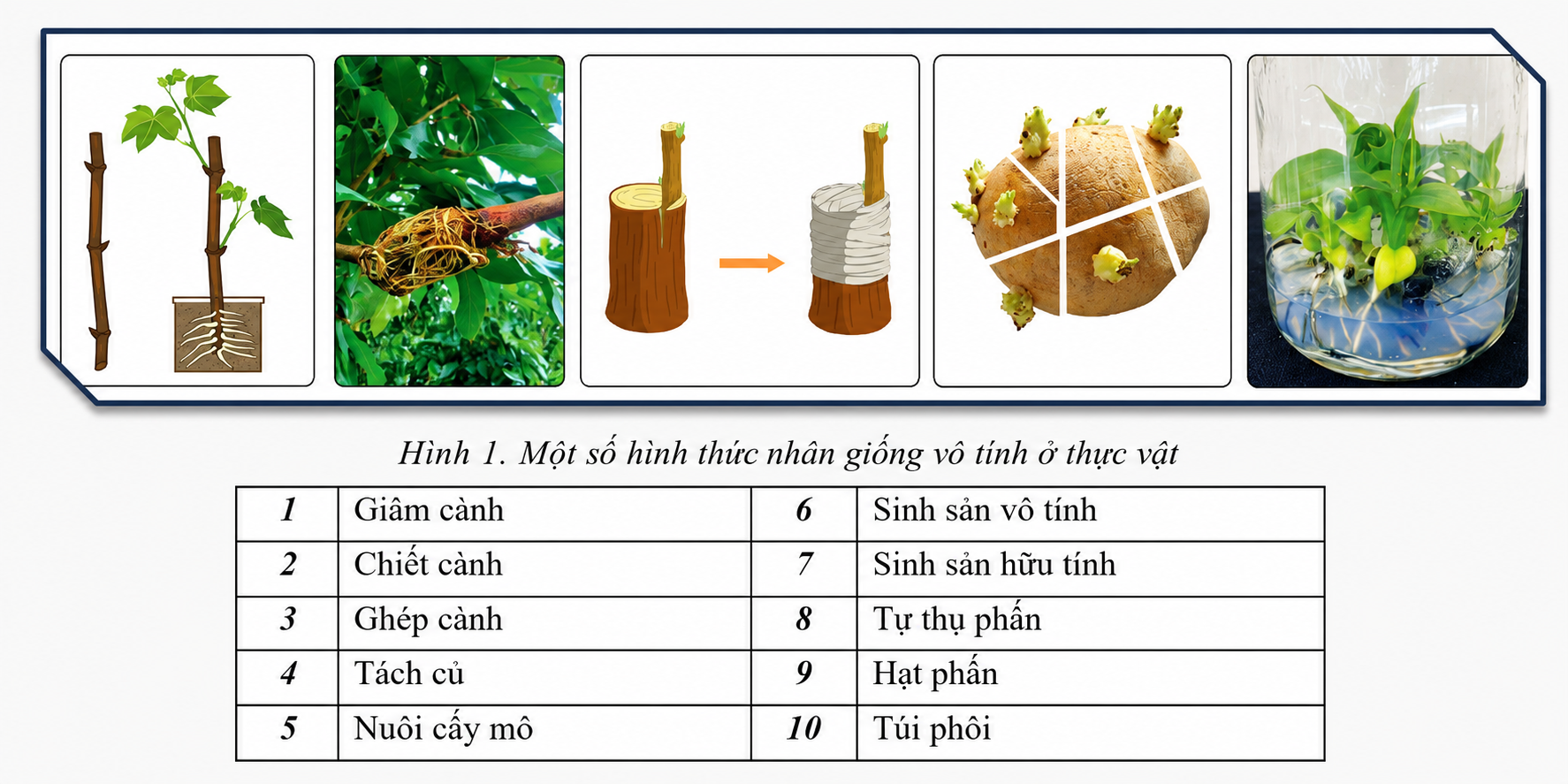 ChatGPT Image Jul 24, 2026, 10_47_18 AM.png