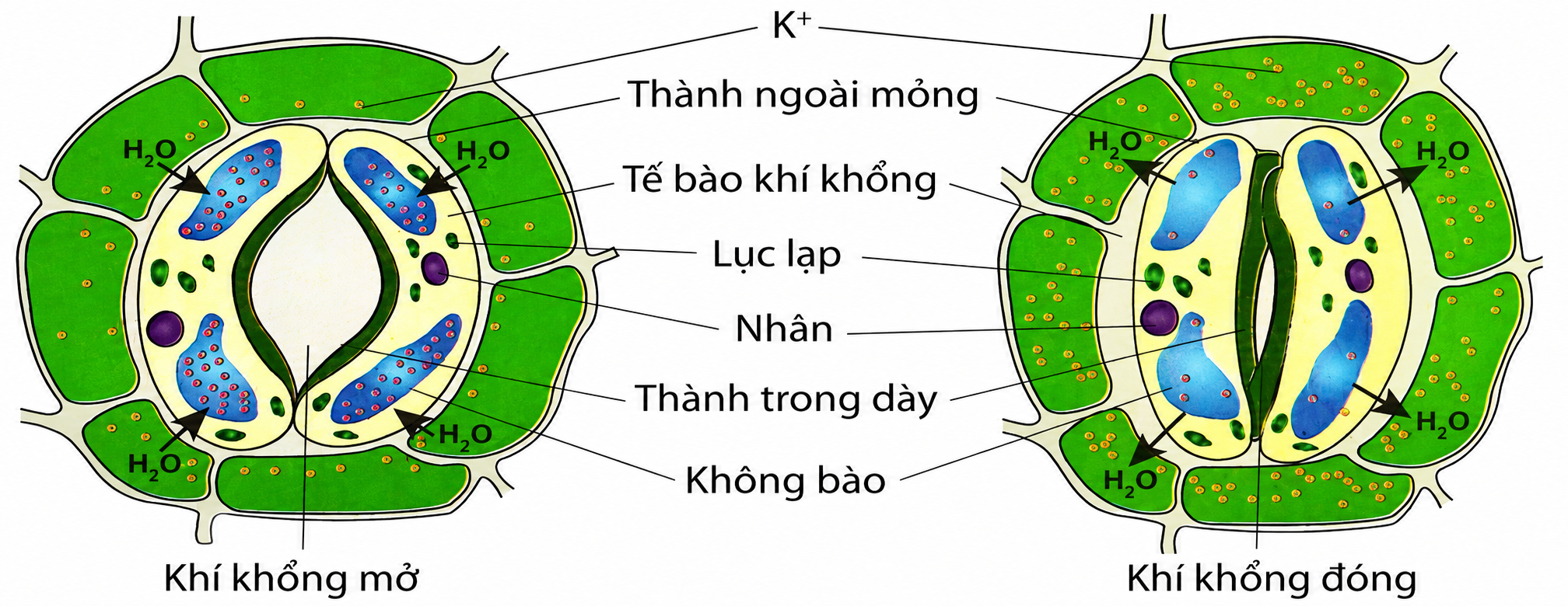 ChatGPT Image Jun 30, 2026, 09_53_34 AM.png