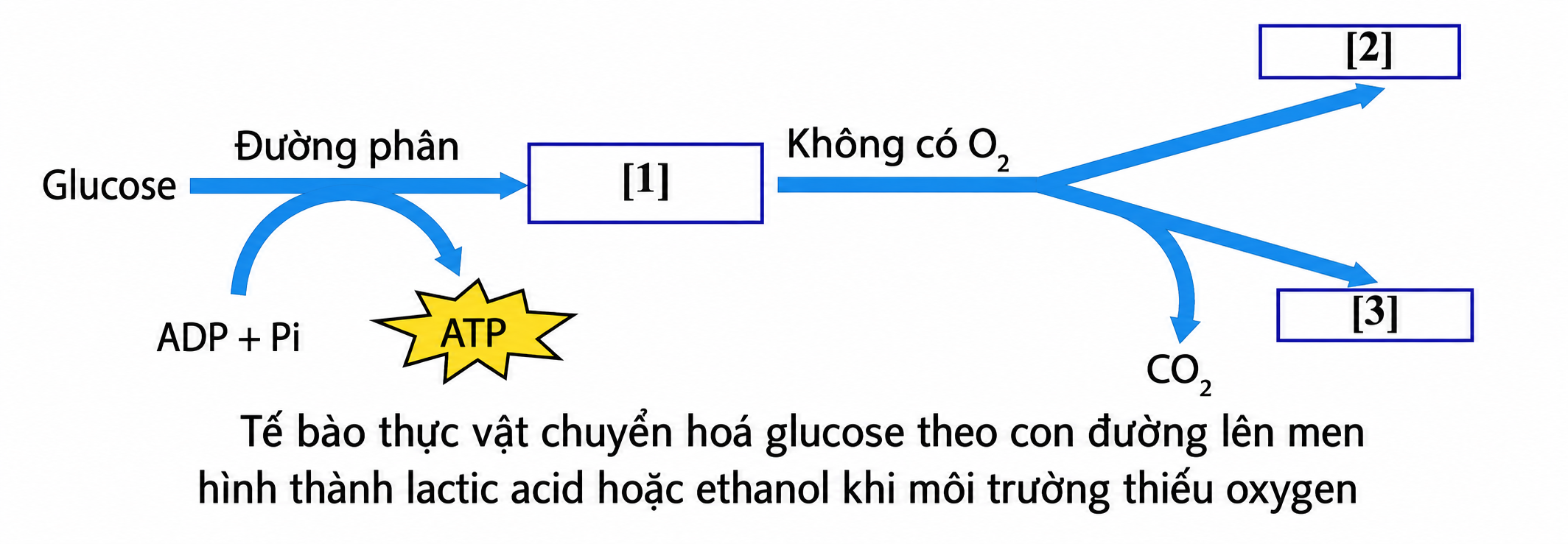 ChatGPT Image Jun 30, 2026, 10_03_46 AM.png