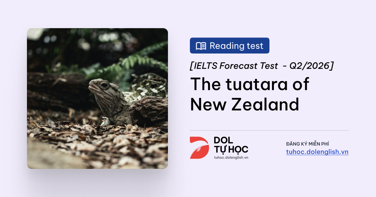 The tuatara of New Zealand