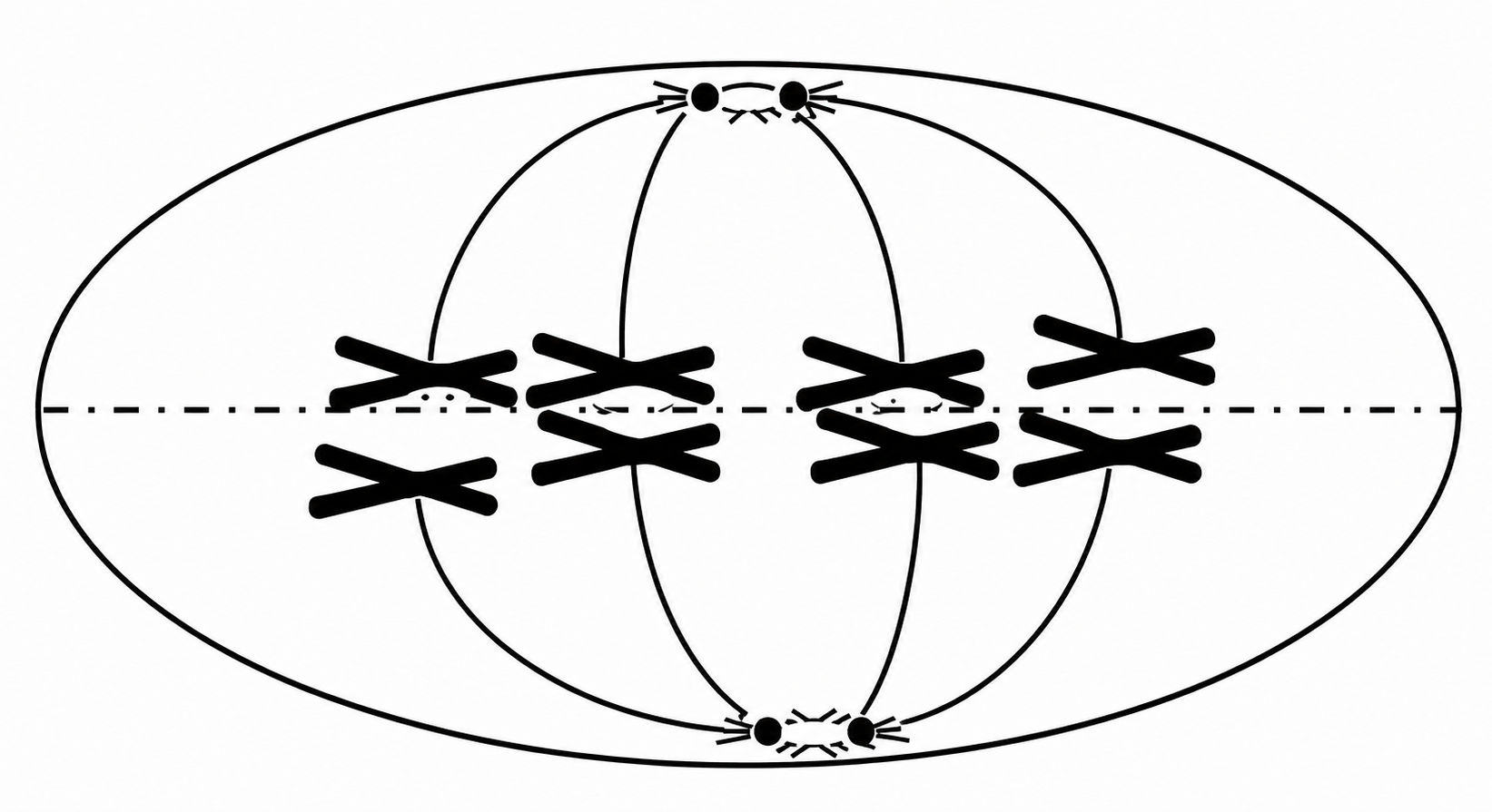 K10_GK2_13_C17.png