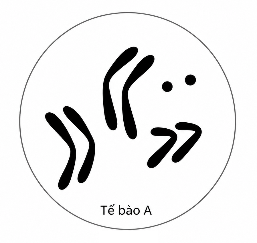 K12_GK1_9_C28.png