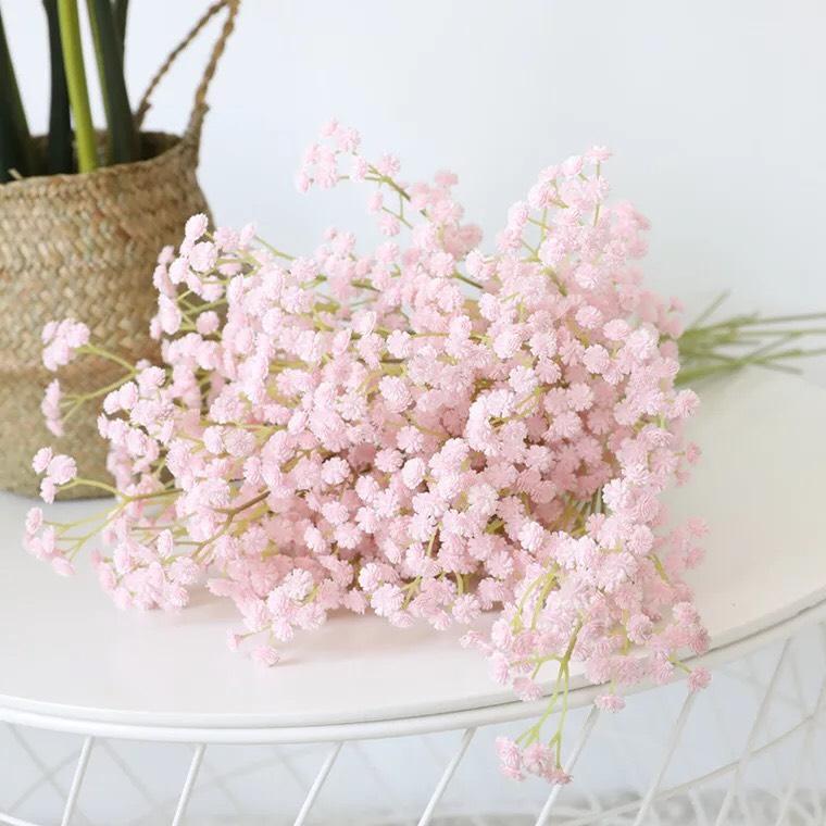 hoa nhí Tiếng Anh là gì Hoa Nhí Tiếng Anh Là Gì