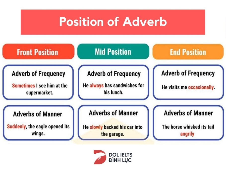 Vị trí của trạng từ trong câu