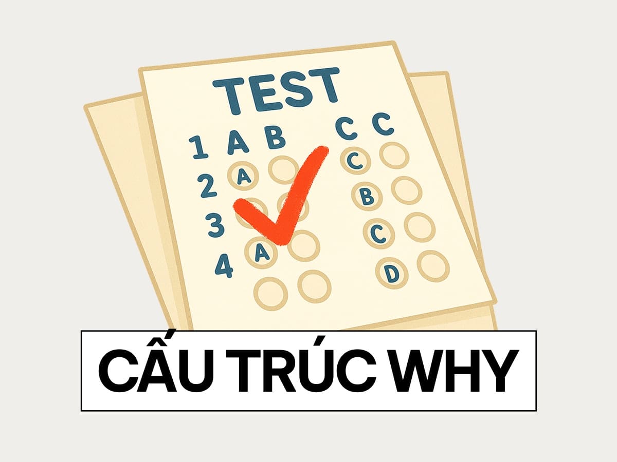 bài tập cấu trúc why