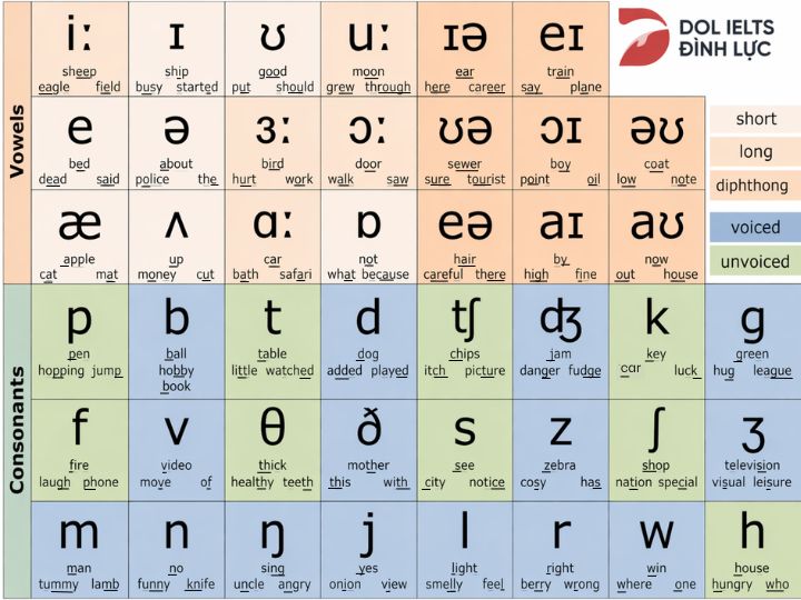 [{"type":"p","children":[{"text":"Bảng phiên âm tiếng Anh IPA"}]}]