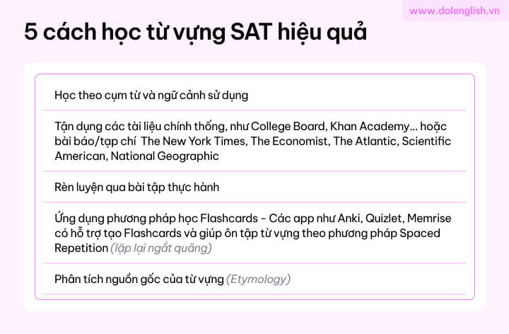 [{"type":"p","id":"G3dmo5DB9ItrKjef7yoRG","children":[{"text":"Từ vựng SAT & Các cách học từ vựng SAT hiệu quả"}]}]