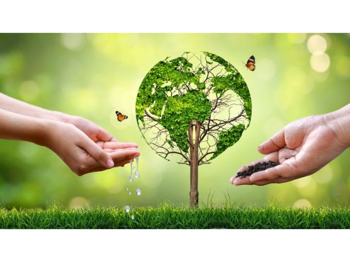 [{"type":"p","children":[{"text":"Các chủ đề thường gặp trong IELTS & Environment – Môi trường"}]}]