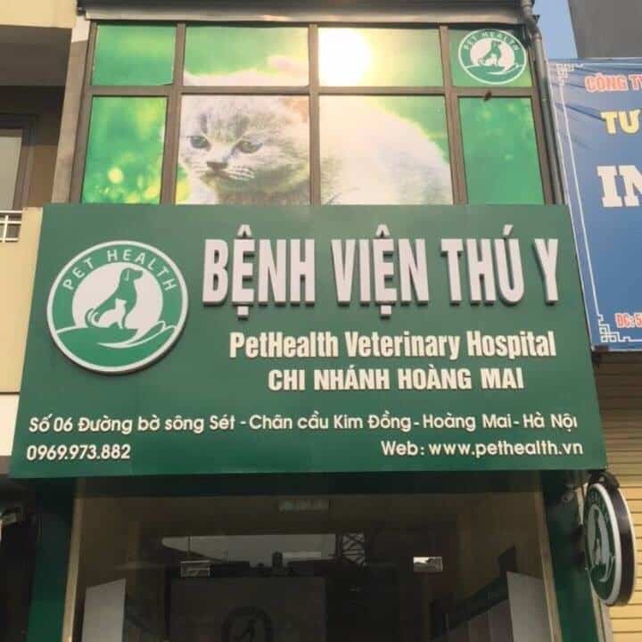 Bệnh viện tâm thần tiếng Anh là gì? Giải thích và ví dụ cụ thể