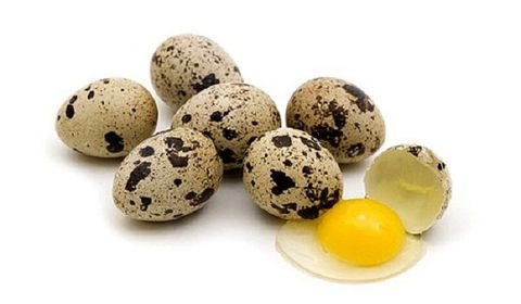 Những từ liên quan đến trứng cút trong tiếng Anh có gì? 
