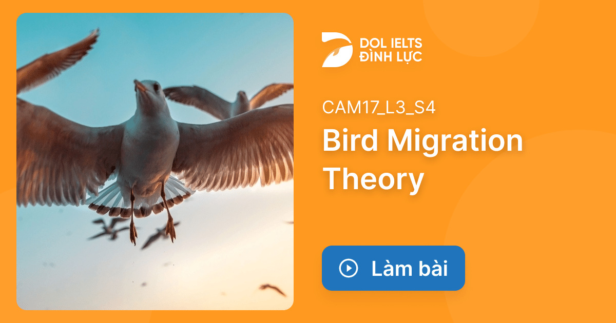 Luy n t p thi ielts listening bird migration theory ielts