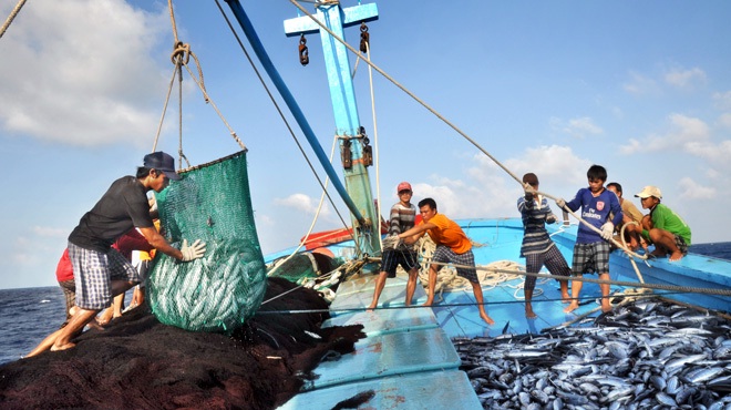ngư nghiệp Tiếng Anh là gì