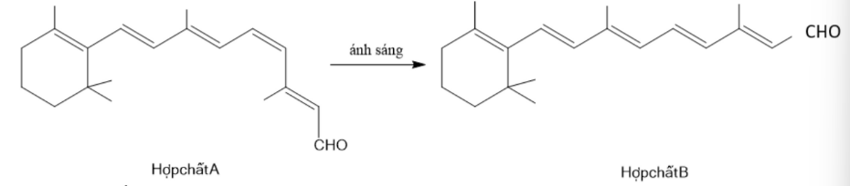 Ảnh chụp màn hình 2026-05-28 200303.png