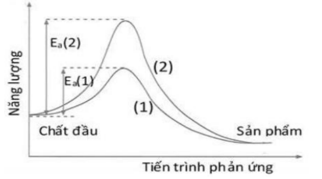 Ảnh chụp màn hình 2026-05-28 201616.png