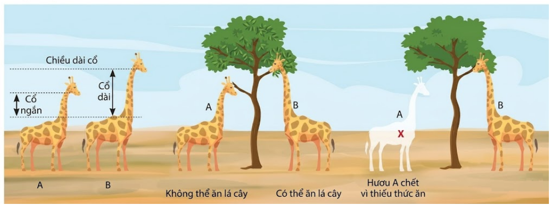Ảnh chụp màn hình 2026-06-23 145027.png