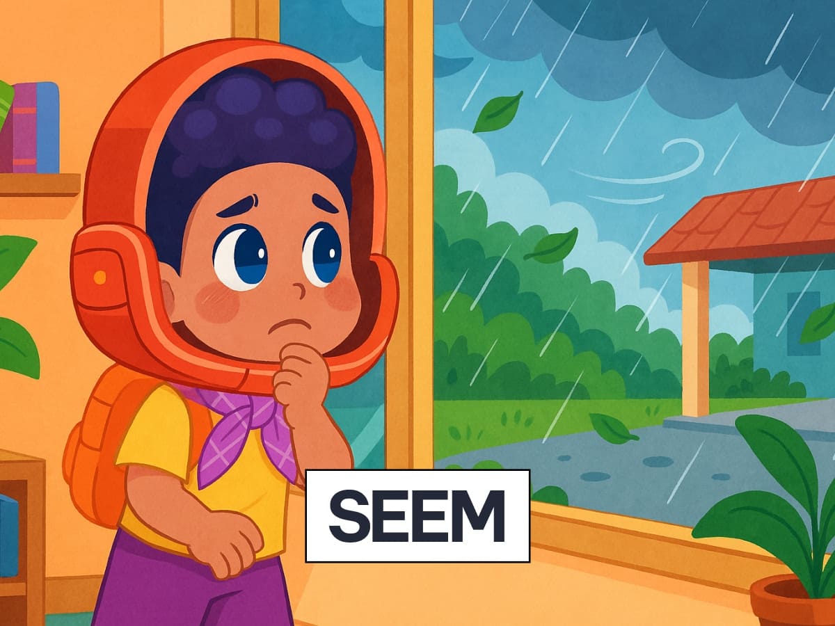 seem là gì
