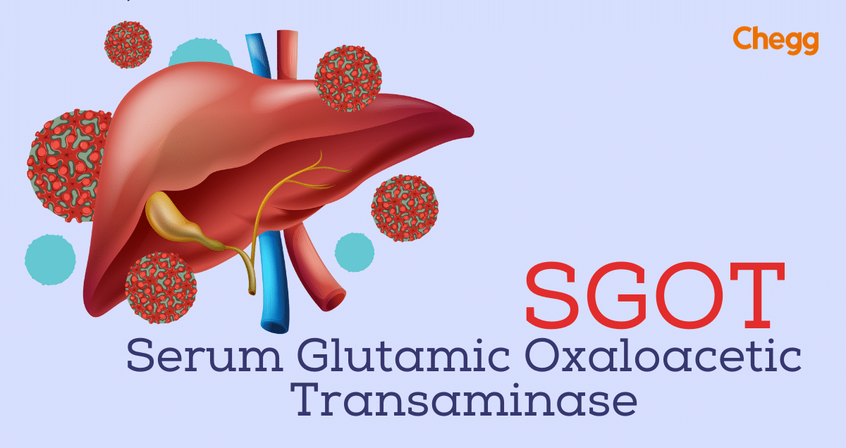 GOT Tiếng Anh là gì